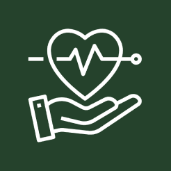 Heart with heartbeat above hand icon.